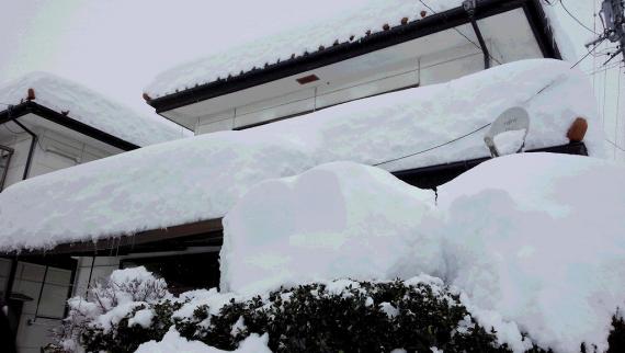 14snow5.jpg 14snow5.jpg