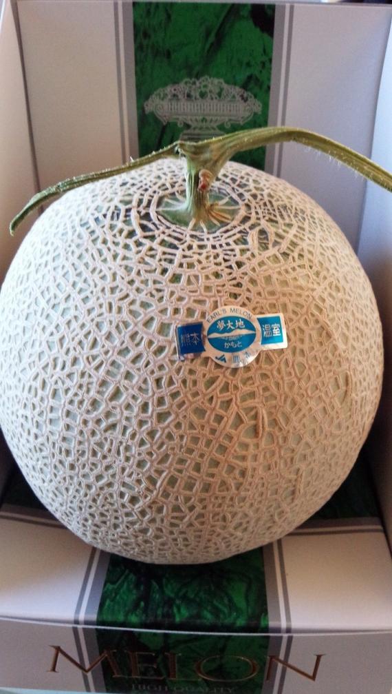 melon.jpg melon.jpg
