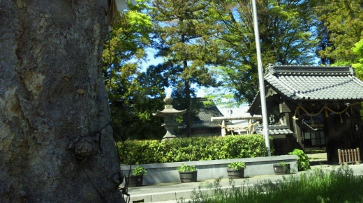 130507.jpg 130507.jpg