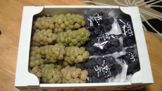 13grape.jpg 13grape.jpg