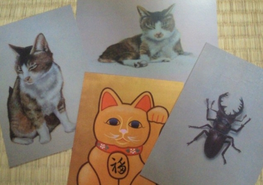 13shika2.jpg 13shika2.jpg
