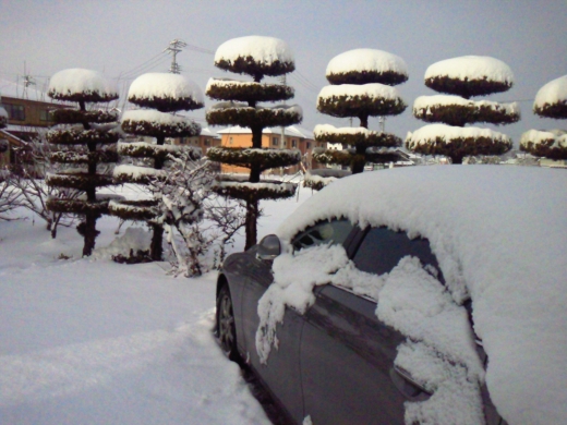 20121229snow.jpg 20121229snow.jpg