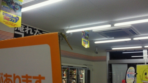 cvs1.jpg cvs1.jpg