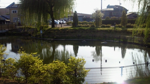 hachimansuien.jpg hachimansuien.jpg