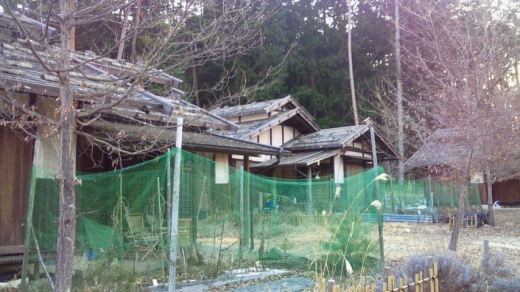 shimoguri3.jpg shimoguri3.jpg