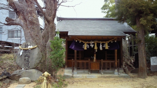 shiogama2.jpg shiogama2.jpg